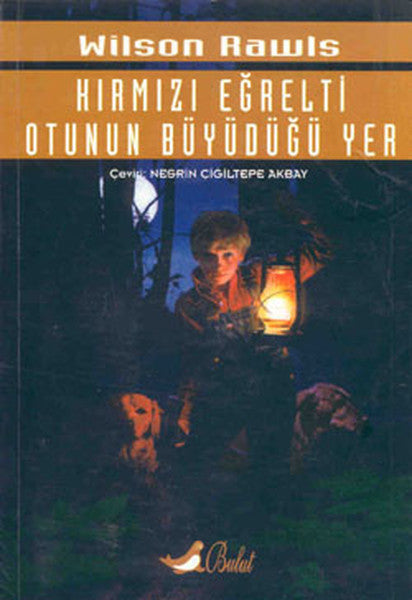 Kırmızı Eğrelti Otunun Büyüdüğü Yer