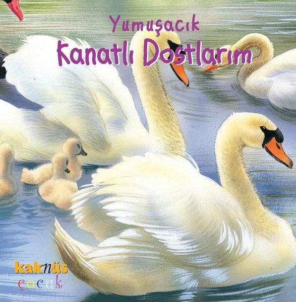 Yumuşacık Kanatlı Dostlarım