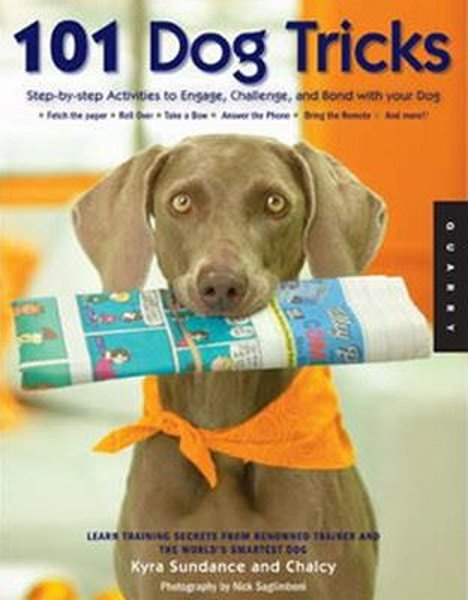 101 Dog Tricks: Step-by-Step Activities to Engage, Challenge, and Bond with Your Dog
