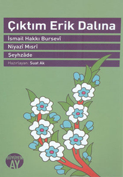 Çıktım Erik Dalına