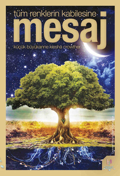 Mesaj