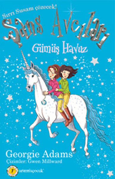 Şans Avcıları 2. Kitap - Gümüş Havuz
