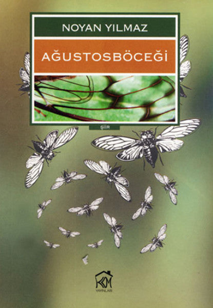 Ağustosböceği