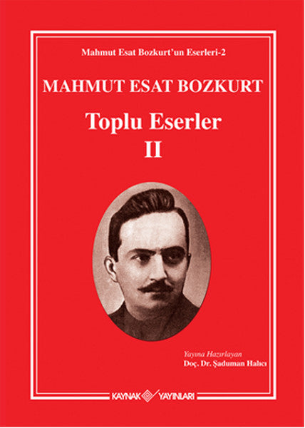 Mahmut Esat Bozkurt Toplu Eserler - 2