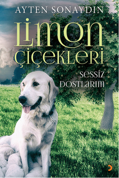Limon Çiçekleri