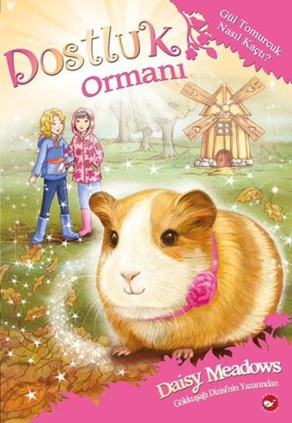 Dostluk Ormanı 8-Gül Tomurcuk Nasıl Kaçtı?