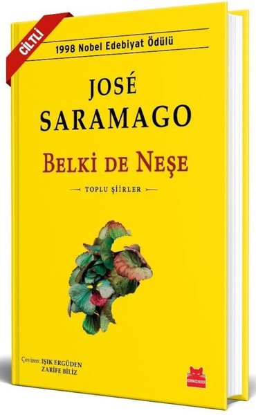 Belki de Neşe