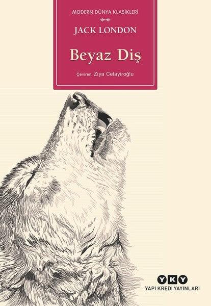 Beyaz Diş