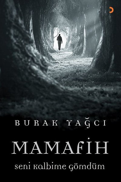 Mamafih Seni Kalbime Gömdüm
