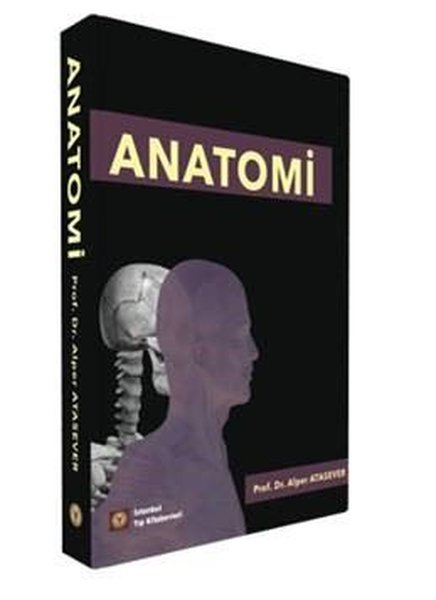 Anatomi-Büyük Boy
