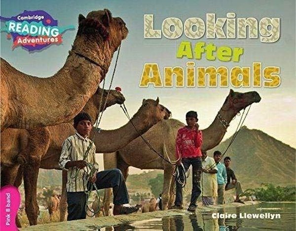 Pink B Band- Looking After Animals Reading Adventures