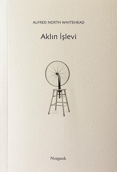 Aklın İşlevi