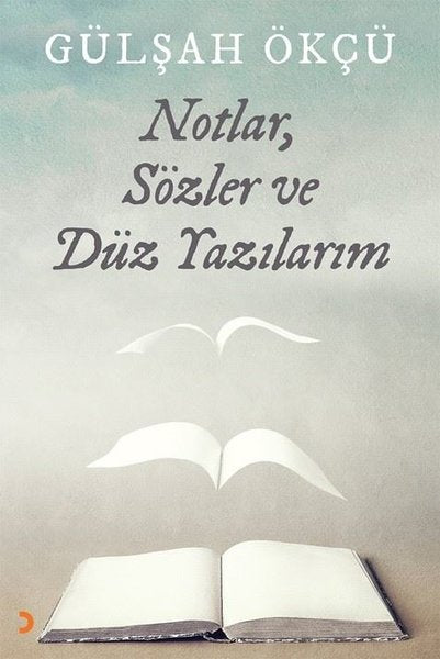 Notlar Sözler ve Düz Yazılarım
