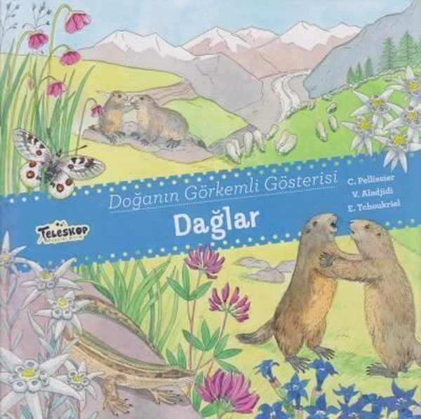 Doğanın Görkemli Gösterisi Dağlar