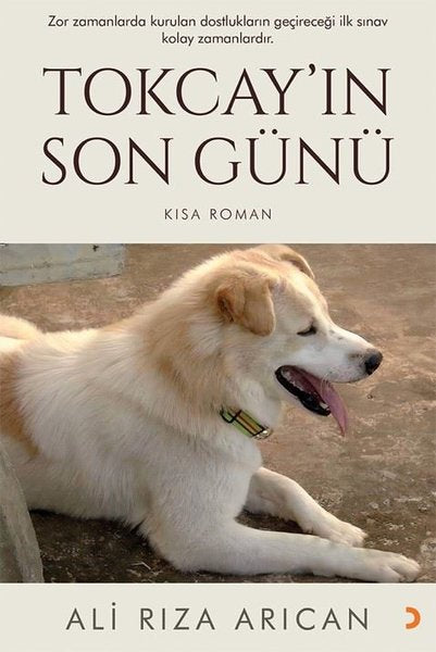 Tokcayın Son Günü - Kısa Roman