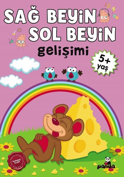 5 Yaş Sağ Beyin - Sol Beyin Gelişimi
