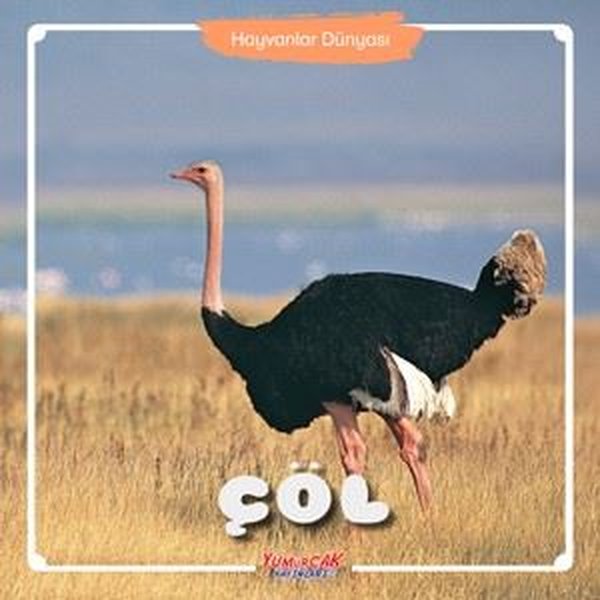 Hayvanlar Dünyası - Çöl