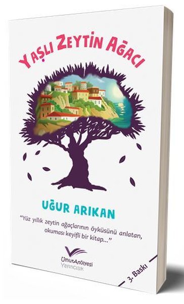 Yaşlı Zeytin Ağacı