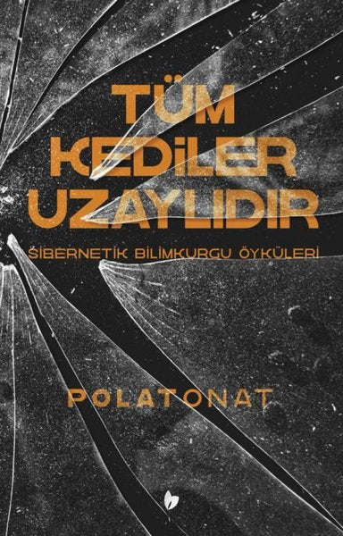 Tüm Kediler Uzaylıdır - Sibernetik Bilimkurgu Öyküleri