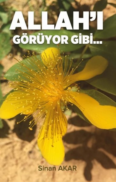 Allah'ı Görüyor Gibi