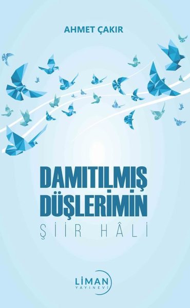 Damıtılmış Şiirlerimin Şiir Hali