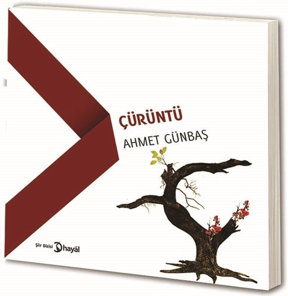 Çürüntü