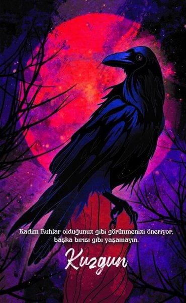 Kuzgun - Şaman Defterleri