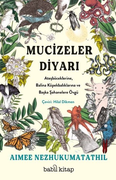 Mucizeler Diyarı - Ateşböceklerine Balina Köpekbalıklarına ve Başka Şahanelere Övgü