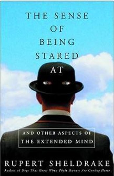 Sense Of Being Stared At