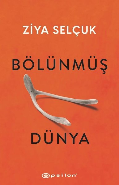 Bölünmüş Dünya