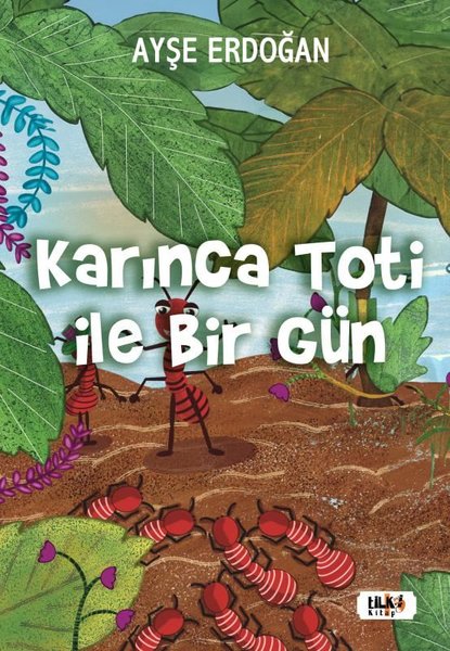 Karınca Toti İle Bir Gün