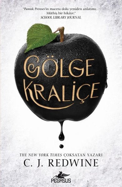 Gölge Kraliçe Serisi 1 - Gölge Kraliçe