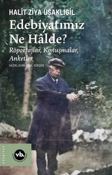 Edebiyatımız Ne Halde? Röportajlar Konuşmalar Anketler