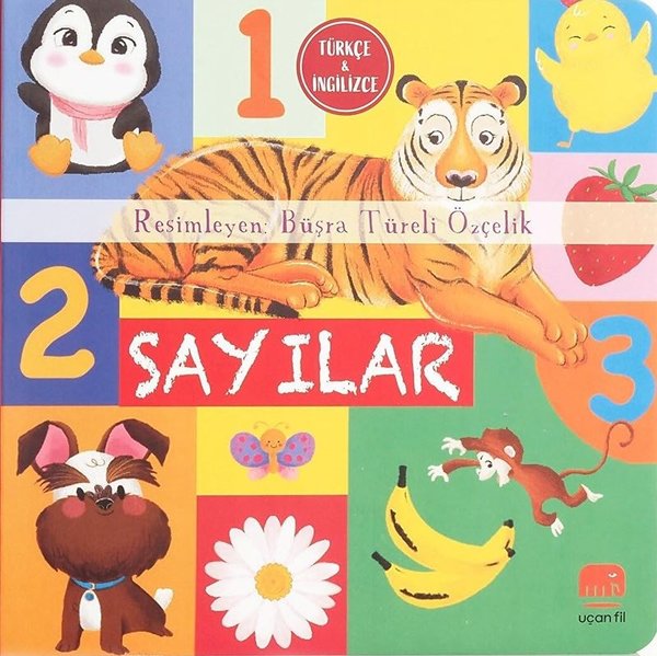 Sayılar