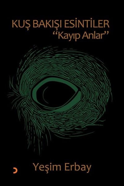 Kuş Bakışı Esintiler - Kayıp Anlar
