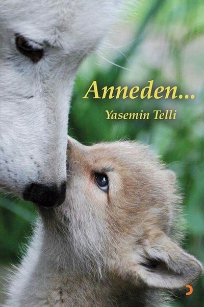 Anneden