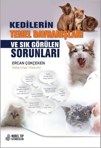 Kedilerin Temel Davranışları ve Sık Görülen Sorunları