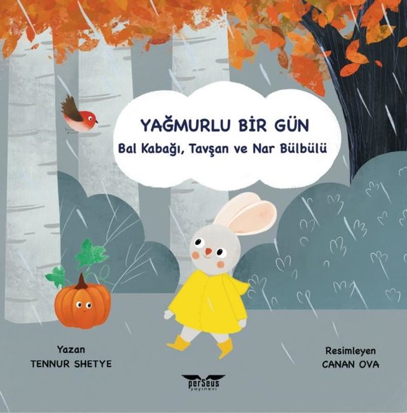 Yağmurlu Bir Gün - Balkabağı Tavşan ve Nar Bülbülü