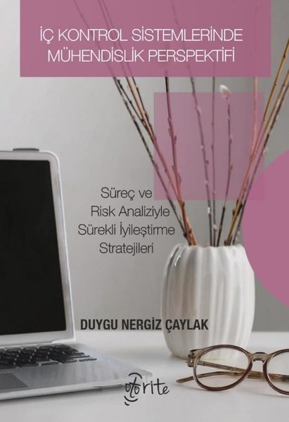 İç Kontrol Sistemlerinde Mühendislik Perspektifi - Süreç ve Risk Analizleriyle Sürekli İyileştirme S