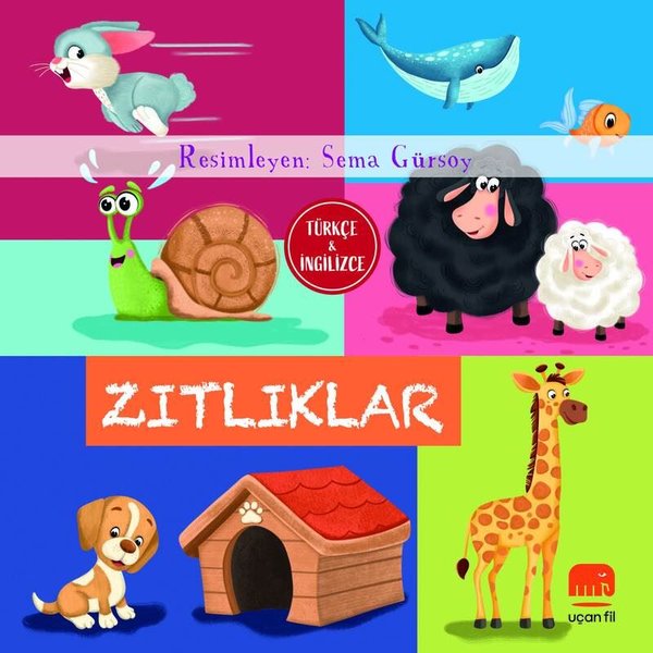 Zıtlıklar - Türkçe ve İngilizce