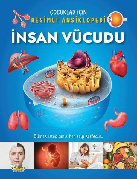 İnsan Vücudu - Çocuklar İçin Resimli Ansiklopedi