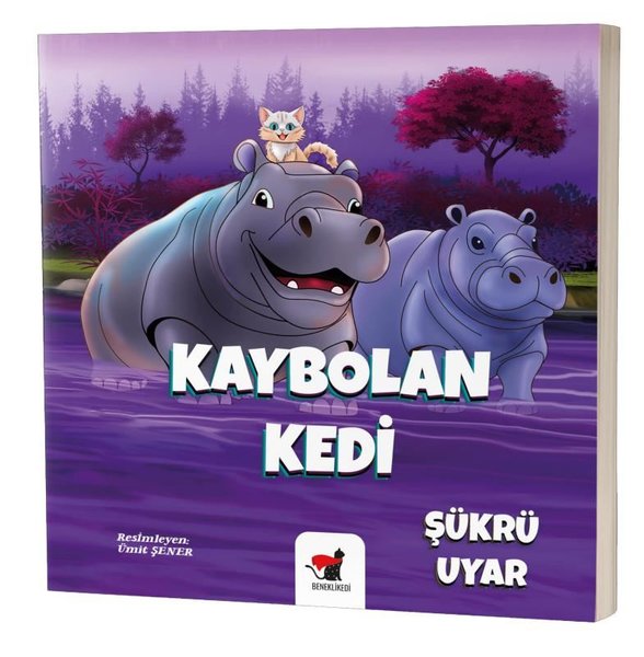 Kaybolan Kedi