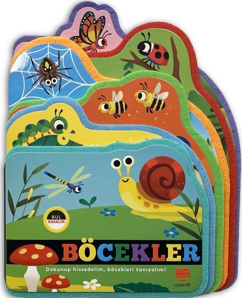 Bul Bakalım - Böcekler