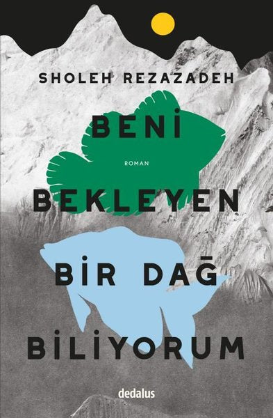 Beni Bekleyen Bir Dağ Biliyorum