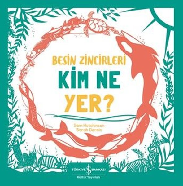 Besin Zincirleri Kim Ne Yer?