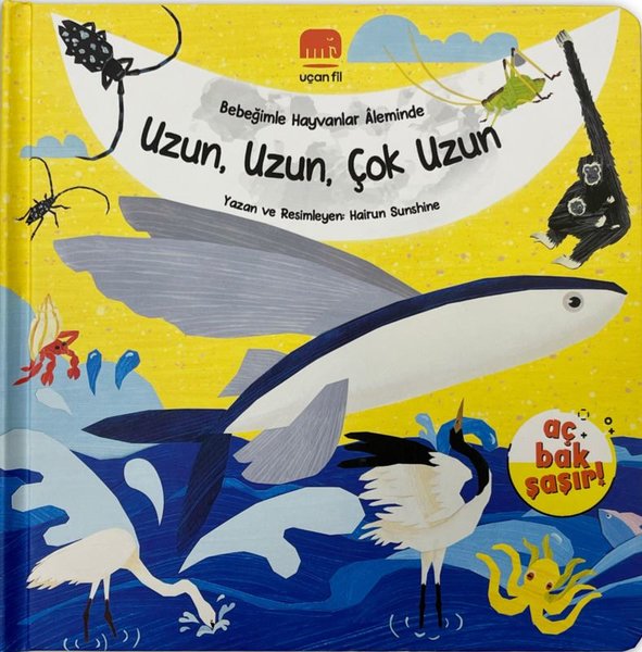 Uzun Uzun Çok Uzun - Bebeğimle Hayvanlar Aleminde