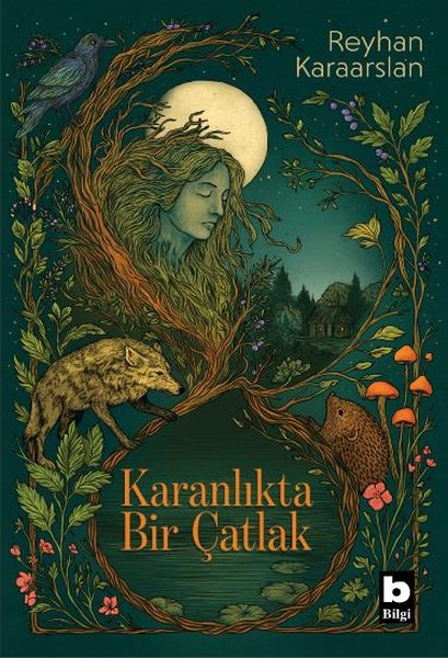 Karanlıkta Bir Çatlak
