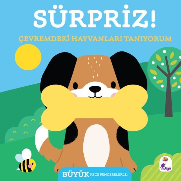 Sürpriz! Çevremdeki Hayvanları Tanıyorum