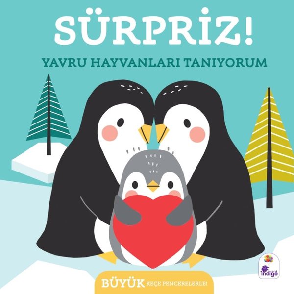 Sürpriz! Yavru Hayvanları Tanıyorum