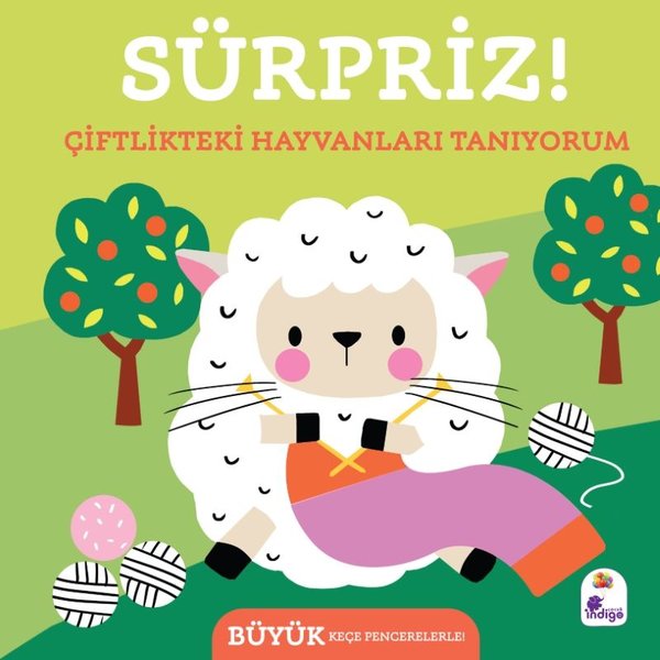 Sürpriz! Çiftlikteki  Hayvanları Tanıyorum